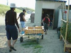�L�����Aver2.0